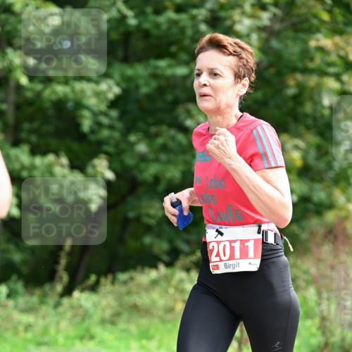 27.09.2026 - 35. Volkslauf durch das schöne Alstertal Dr. Thomas Lammeyer http://msf.ph/oto/10581511 27.09.2026 12:25:50 Laufen 2011 meine-sportfotos.de