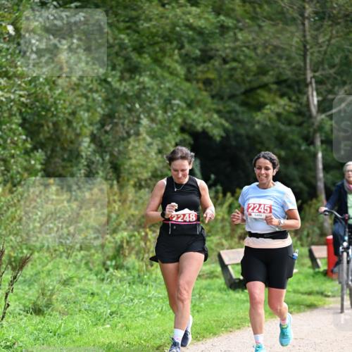 27.09.2026 - 35. Volkslauf durch das schöne Alstertal Dr. Thomas Lammeyer http://msf.ph/oto/10581515 27.09.2026 12:25:56 Laufen 2248, 2245 meine-sportfotos.de