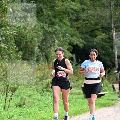 27.09.2026 - 35. Volkslauf durch das schöne Alstertal Dr. Thomas Lammeyer http://msf.ph/oto/10581518 27.09.2026 12:25:57 Laufen 2248, 2245 meine-sportfotos.de