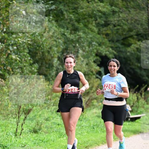 27.09.2026 - 35. Volkslauf durch das schöne Alstertal Dr. Thomas Lammeyer http://msf.ph/oto/10581522 27.09.2026 12:25:57 Laufen 248, 2245 meine-sportfotos.de