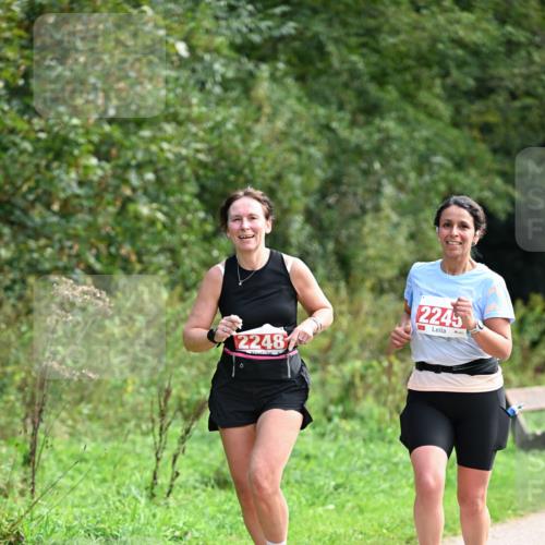 27.09.2026 - 35. Volkslauf durch das schöne Alstertal Dr. Thomas Lammeyer http://msf.ph/oto/10581527 27.09.2026 12:25:58 Laufen 2248, 2245 meine-sportfotos.de