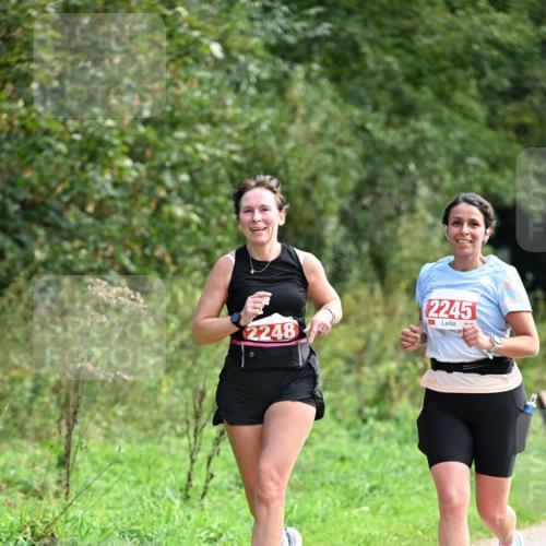 27.09.2026 - 35. Volkslauf durch das schöne Alstertal Dr. Thomas Lammeyer http://msf.ph/oto/10581528 27.09.2026 12:25:58 Laufen 2248, 2245 meine-sportfotos.de