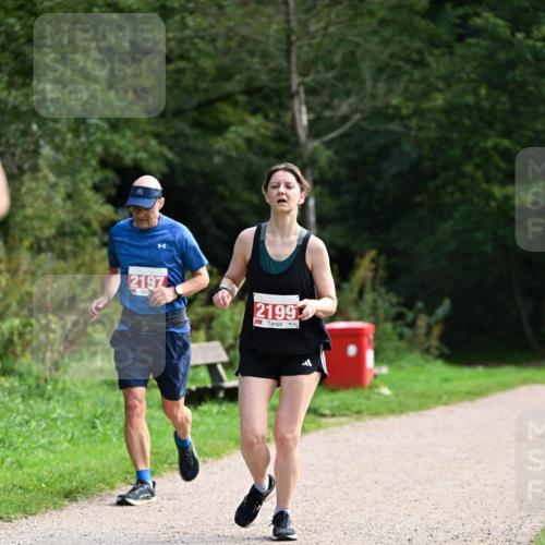 27.09.2026 - 35. Volkslauf durch das schöne Alstertal Dr. Thomas Lammeyer http://msf.ph/oto/10581571 27.09.2026 12:26:31 Laufen 2197, 2199 meine-sportfotos.de