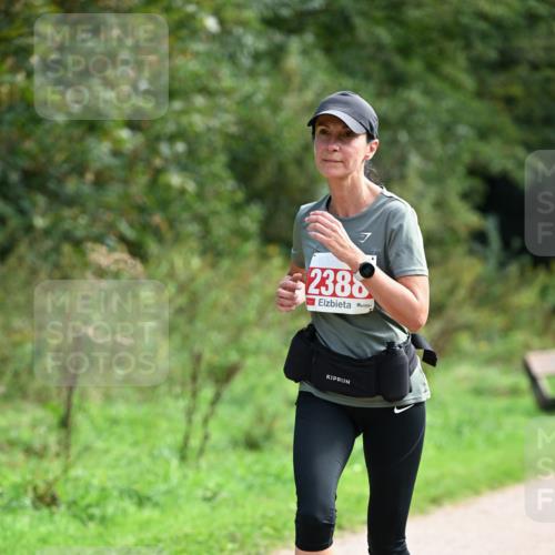 27.09.2026 - 35. Volkslauf durch das schöne Alstertal Dr. Thomas Lammeyer http://msf.ph/oto/10581602 27.09.2026 12:26:42 Laufen 7, 2386 meine-sportfotos.de
