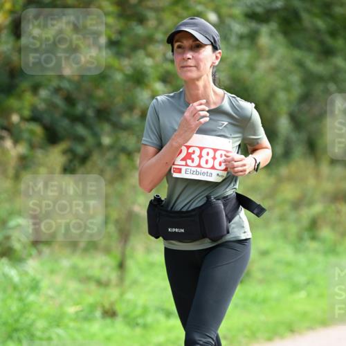 27.09.2026 - 35. Volkslauf durch das schöne Alstertal Dr. Thomas Lammeyer http://msf.ph/oto/10581605 27.09.2026 12:26:43 Laufen 7, 2388 meine-sportfotos.de