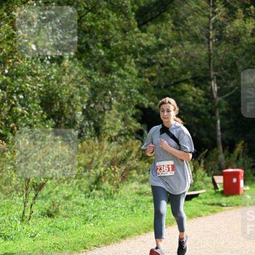 27.09.2026 - 35. Volkslauf durch das schöne Alstertal Dr. Thomas Lammeyer http://msf.ph/oto/10581608 27.09.2026 12:26:59 Laufen 2361 meine-sportfotos.de