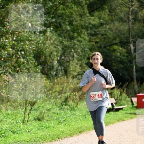 27.09.2026 - 35. Volkslauf durch das schöne Alstertal Dr. Thomas Lammeyer http://msf.ph/oto/10581611 27.09.2026 12:26:59 Laufen 2361 meine-sportfotos.de