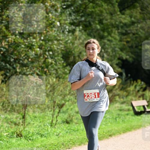 27.09.2026 - 35. Volkslauf durch das schöne Alstertal Dr. Thomas Lammeyer http://msf.ph/oto/10581620 27.09.2026 12:27:00 Laufen 2361 meine-sportfotos.de
