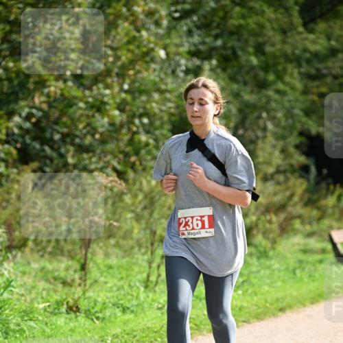 27.09.2026 - 35. Volkslauf durch das schöne Alstertal Dr. Thomas Lammeyer http://msf.ph/oto/10581622 27.09.2026 12:27:00 Laufen 2361 meine-sportfotos.de