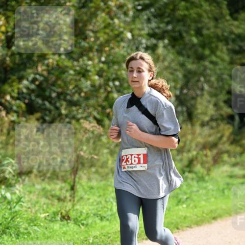 27.09.2026 - 35. Volkslauf durch das schöne Alstertal Dr. Thomas Lammeyer http://msf.ph/oto/10581624 27.09.2026 12:27:00 Laufen 2361 meine-sportfotos.de