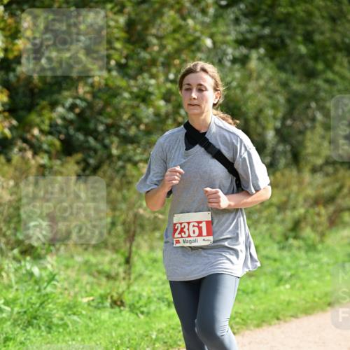 27.09.2026 - 35. Volkslauf durch das schöne Alstertal Dr. Thomas Lammeyer http://msf.ph/oto/10581625 27.09.2026 12:27:00 Laufen 2361 meine-sportfotos.de