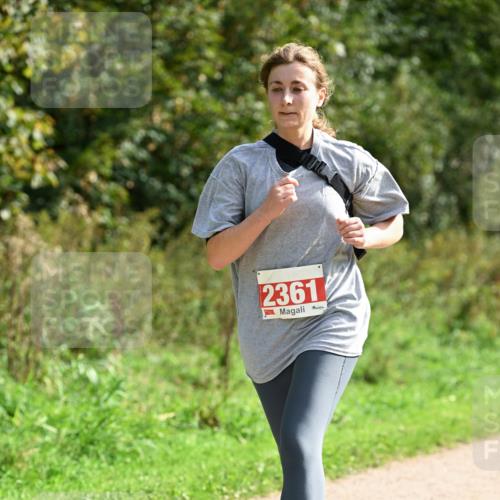 27.09.2026 - 35. Volkslauf durch das schöne Alstertal Dr. Thomas Lammeyer http://msf.ph/oto/10581626 27.09.2026 12:27:00 Laufen 2361 meine-sportfotos.de