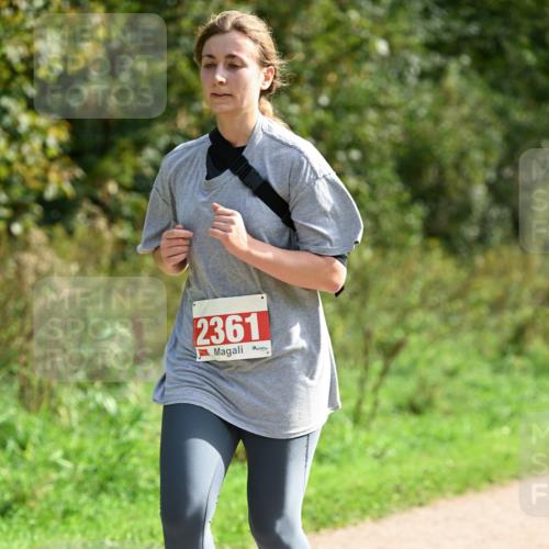 27.09.2026 - 35. Volkslauf durch das schöne Alstertal Dr. Thomas Lammeyer http://msf.ph/oto/10581629 27.09.2026 12:27:01 Laufen 2361 meine-sportfotos.de