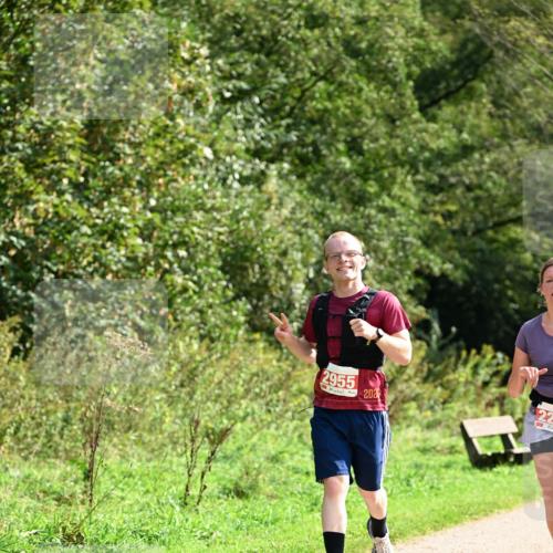 27.09.2026 - 35. Volkslauf durch das schöne Alstertal Dr. Thomas Lammeyer http://msf.ph/oto/10581649 27.09.2026 12:27:27 Laufen 2955, 202, 22 meine-sportfotos.de