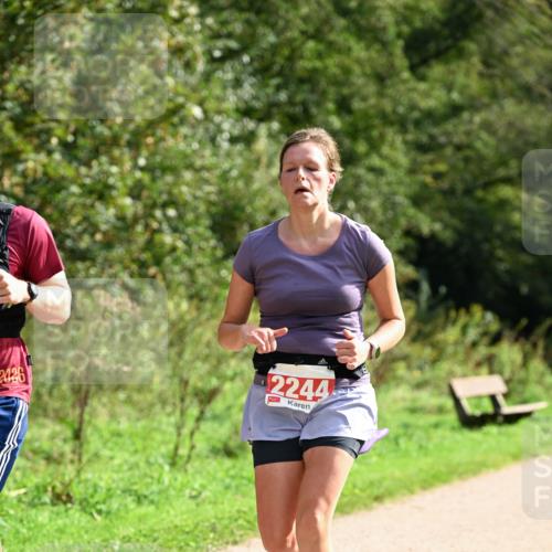 27.09.2026 - 35. Volkslauf durch das schöne Alstertal Dr. Thomas Lammeyer http://msf.ph/oto/10581659 27.09.2026 12:27:28 Laufen 2244, 2426 meine-sportfotos.de