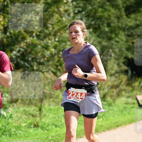 27.09.2026 - 35. Volkslauf durch das schöne Alstertal Dr. Thomas Lammeyer http://msf.ph/oto/10581662 27.09.2026 12:27:29 Laufen 2244 meine-sportfotos.de