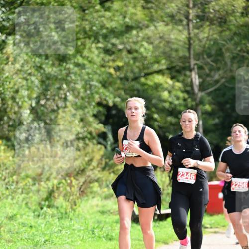 27.09.2026 - 35. Volkslauf durch das schöne Alstertal Dr. Thomas Lammeyer http://msf.ph/oto/10581668 27.09.2026 12:27:47 Laufen 2346, 2256 meine-sportfotos.de