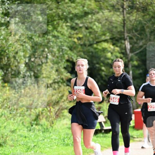 27.09.2026 - 35. Volkslauf durch das schöne Alstertal Dr. Thomas Lammeyer http://msf.ph/oto/10581669 27.09.2026 12:27:48 Laufen 2346, 225 meine-sportfotos.de
