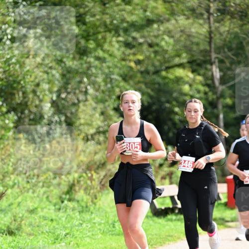 27.09.2026 - 35. Volkslauf durch das schöne Alstertal Dr. Thomas Lammeyer http://msf.ph/oto/10581670 27.09.2026 12:27:48 Laufen 305, 346 meine-sportfotos.de