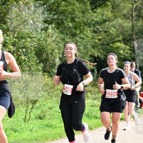 27.09.2026 - 35. Volkslauf durch das schöne Alstertal Dr. Thomas Lammeyer http://msf.ph/oto/10581680 27.09.2026 12:27:49 Laufen 2346, 2256 meine-sportfotos.de