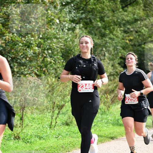 27.09.2026 - 35. Volkslauf durch das schöne Alstertal Dr. Thomas Lammeyer http://msf.ph/oto/10581683 27.09.2026 12:27:50 Laufen 2346, 2250 meine-sportfotos.de