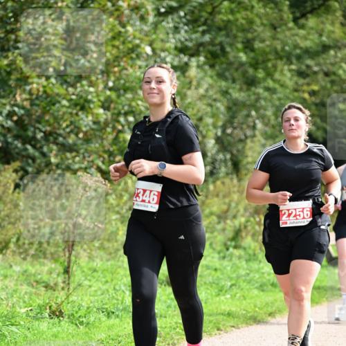 27.09.2026 - 35. Volkslauf durch das schöne Alstertal Dr. Thomas Lammeyer http://msf.ph/oto/10581685 27.09.2026 12:27:50 Laufen 346, 2256 meine-sportfotos.de