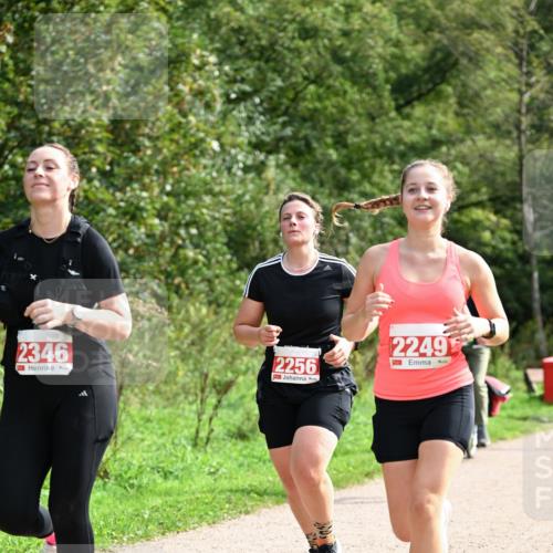 27.09.2026 - 35. Volkslauf durch das schöne Alstertal Dr. Thomas Lammeyer http://msf.ph/oto/10581686 27.09.2026 12:27:50 Laufen 2346, 2256, 2249 meine-sportfotos.de