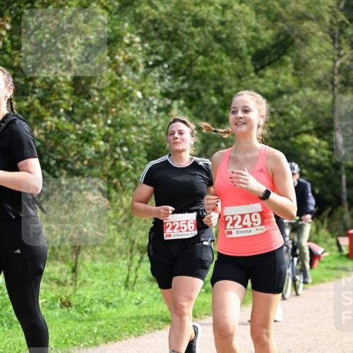 27.09.2026 - 35. Volkslauf durch das schöne Alstertal Dr. Thomas Lammeyer http://msf.ph/oto/10581688 27.09.2026 12:27:51 Laufen 2256, 2249 meine-sportfotos.de