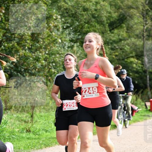 27.09.2026 - 35. Volkslauf durch das schöne Alstertal Dr. Thomas Lammeyer http://msf.ph/oto/10581689 27.09.2026 12:27:51 Laufen 2256, 2249 meine-sportfotos.de