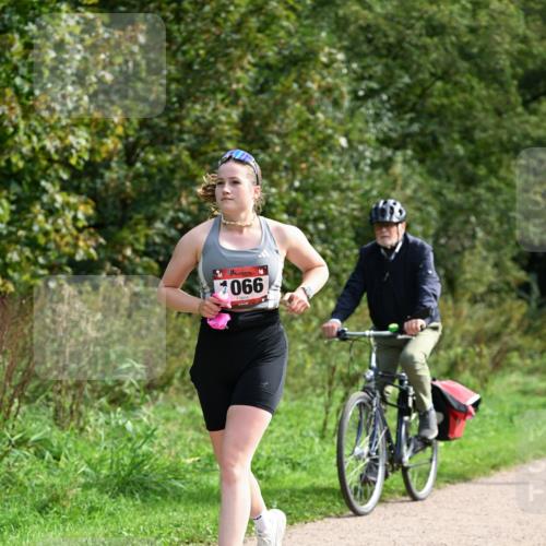 27.09.2026 - 35. Volkslauf durch das schöne Alstertal Dr. Thomas Lammeyer http://msf.ph/oto/10581700 27.09.2026 12:27:53 Laufen 066 meine-sportfotos.de