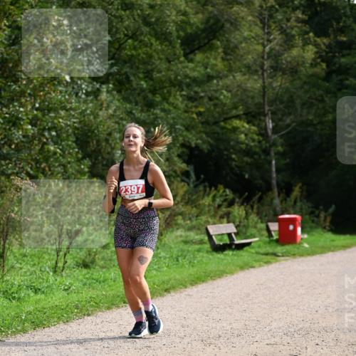27.09.2026 - 35. Volkslauf durch das schöne Alstertal Dr. Thomas Lammeyer http://msf.ph/oto/10581703 27.09.2026 12:27:54 Laufen 2397 meine-sportfotos.de