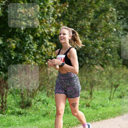 27.09.2026 - 35. Volkslauf durch das schöne Alstertal Dr. Thomas Lammeyer http://msf.ph/oto/10581714 27.09.2026 12:27:55 Laufen  meine-sportfotos.de
