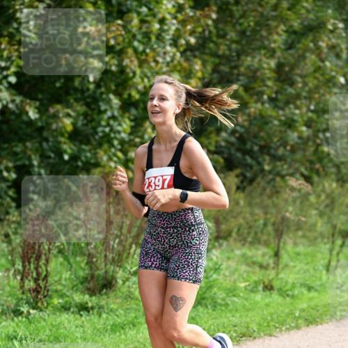 27.09.2026 - 35. Volkslauf durch das schöne Alstertal Dr. Thomas Lammeyer http://msf.ph/oto/10581716 27.09.2026 12:27:56 Laufen 2397 meine-sportfotos.de