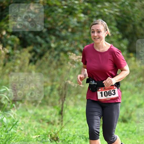 27.09.2026 - 35. Volkslauf durch das schöne Alstertal Dr. Thomas Lammeyer http://msf.ph/oto/10581741 27.09.2026 12:28:08 Laufen 1063 meine-sportfotos.de