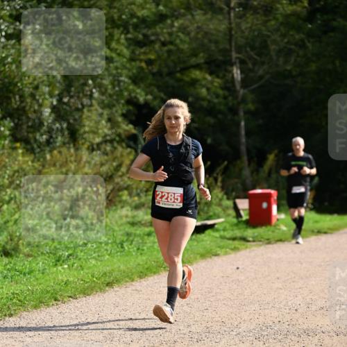 27.09.2026 - 35. Volkslauf durch das schöne Alstertal Dr. Thomas Lammeyer http://msf.ph/oto/10581808 27.09.2026 12:28:46 Laufen 2285 meine-sportfotos.de