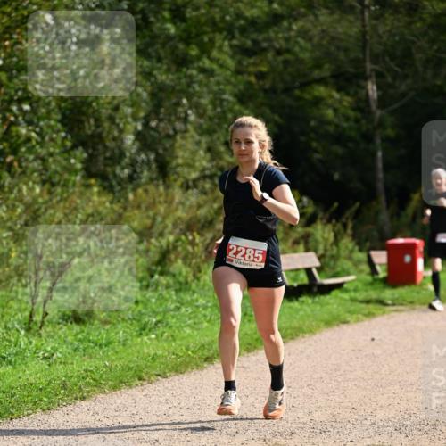 27.09.2026 - 35. Volkslauf durch das schöne Alstertal Dr. Thomas Lammeyer http://msf.ph/oto/10581810 27.09.2026 12:28:46 Laufen 2285 meine-sportfotos.de