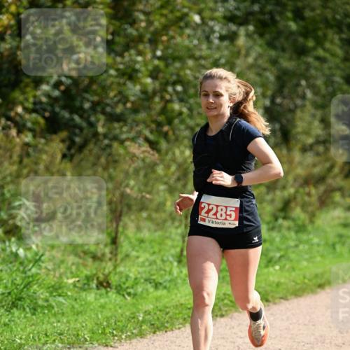 27.09.2026 - 35. Volkslauf durch das schöne Alstertal Dr. Thomas Lammeyer http://msf.ph/oto/10581818 27.09.2026 12:28:47 Laufen 2285 meine-sportfotos.de