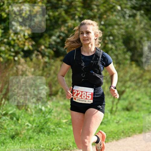 27.09.2026 - 35. Volkslauf durch das schöne Alstertal Dr. Thomas Lammeyer http://msf.ph/oto/10581822 27.09.2026 12:28:47 Laufen 2285 meine-sportfotos.de