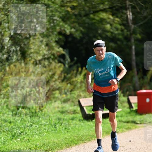 27.09.2026 - 35. Volkslauf durch das schöne Alstertal Dr. Thomas Lammeyer http://msf.ph/oto/10581859 27.09.2026 12:29:02 Laufen  meine-sportfotos.de