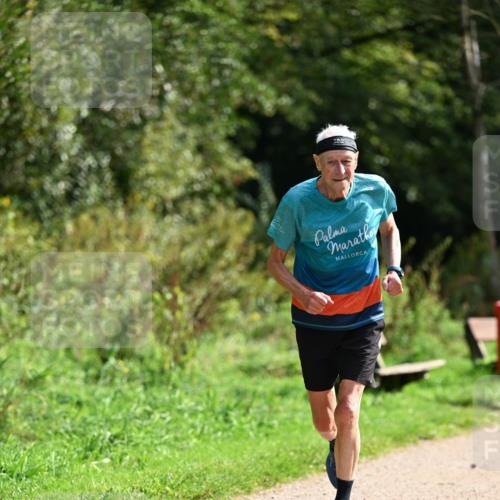 27.09.2026 - 35. Volkslauf durch das schöne Alstertal Dr. Thomas Lammeyer http://msf.ph/oto/10581863 27.09.2026 12:29:02 Laufen  meine-sportfotos.de