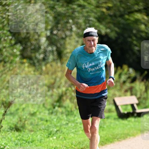 27.09.2026 - 35. Volkslauf durch das schöne Alstertal Dr. Thomas Lammeyer http://msf.ph/oto/10581869 27.09.2026 12:29:03 Laufen  meine-sportfotos.de