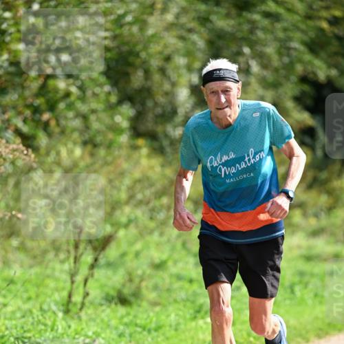 27.09.2026 - 35. Volkslauf durch das schöne Alstertal Dr. Thomas Lammeyer http://msf.ph/oto/10581873 27.09.2026 12:29:03 Laufen  meine-sportfotos.de
