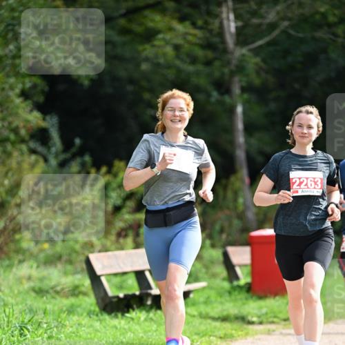 27.09.2026 - 35. Volkslauf durch das schöne Alstertal Dr. Thomas Lammeyer http://msf.ph/oto/10581897 27.09.2026 12:29:28 Laufen 2263 meine-sportfotos.de