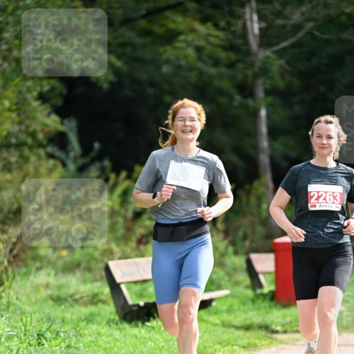 27.09.2026 - 35. Volkslauf durch das schöne Alstertal Dr. Thomas Lammeyer http://msf.ph/oto/10581899 27.09.2026 12:29:28 Laufen 2263 meine-sportfotos.de