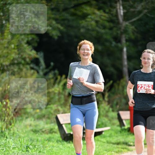27.09.2026 - 35. Volkslauf durch das schöne Alstertal Dr. Thomas Lammeyer http://msf.ph/oto/10581900 27.09.2026 12:29:29 Laufen 2263 meine-sportfotos.de