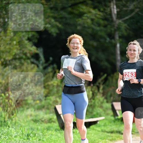 27.09.2026 - 35. Volkslauf durch das schöne Alstertal Dr. Thomas Lammeyer http://msf.ph/oto/10581901 27.09.2026 12:29:29 Laufen 2263 meine-sportfotos.de