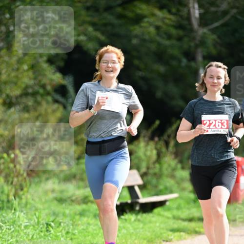 27.09.2026 - 35. Volkslauf durch das schöne Alstertal Dr. Thomas Lammeyer http://msf.ph/oto/10581904 27.09.2026 12:29:29 Laufen 2263 meine-sportfotos.de