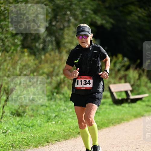 27.09.2026 - 35. Volkslauf durch das schöne Alstertal Dr. Thomas Lammeyer http://msf.ph/oto/10581915 27.09.2026 12:29:34 Laufen 1134 meine-sportfotos.de