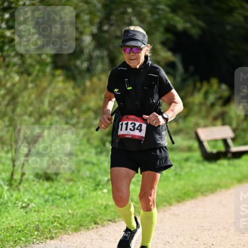 27.09.2026 - 35. Volkslauf durch das schöne Alstertal Dr. Thomas Lammeyer http://msf.ph/oto/10581918 27.09.2026 12:29:35 Laufen 1134 meine-sportfotos.de