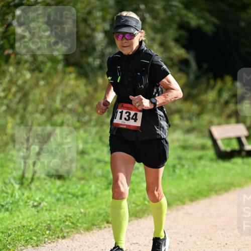 27.09.2026 - 35. Volkslauf durch das schöne Alstertal Dr. Thomas Lammeyer http://msf.ph/oto/10581919 27.09.2026 12:29:35 Laufen 134 meine-sportfotos.de